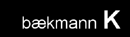 Baekmann K logo